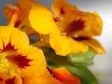 Simple and Elegant: Nasturtiums and Snap Peas