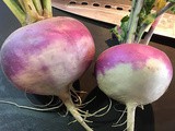 Ham & Turnip Stew (turnips & greens) over Polenta - Rooting for Root Veggies