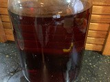 Kombucha Notes, Directions & a Beginner’s