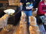 Peanut Butter-Pumpkin Dog Treats