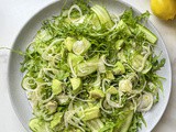 Shaved Fennel Cucumber and Avocado Salad