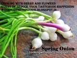 Announcing Cooking with Herbs and Flowers #2 - Spring Onions [with giveaway]