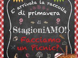 E’ arrivata la raccolta di primavera di StagioniAMO! …Facciamo un picnic