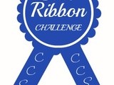 Blue Ribbon Challenge { July } and a few questions answered