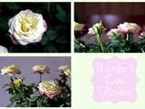 Mother's Day Flowers and Awards