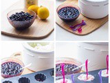 Glace au lait fermenté, Citron & Myrtilles