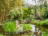 Jardin de la Mortella, Ischia