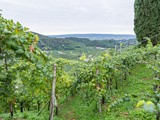 La petite histoire du Prosecco Superiore Conegliano Valdobbiadene docg