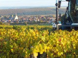 Clos du roi