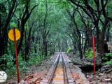 A Monsoon Weekend in Matheran