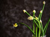 Diy Photography Backdrop | Create Professional Backdrops at Home | Food Photography Backdrop | Tips on what to look for when buying photography backdrops