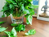 How To Keep Basil Fresh - Method 1