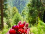 My Top Favorite Foods from Kashmir - Part 1