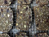 Christina Topham’s Swedish-ish Fruit & Nut Rye Bread