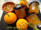 Marmellata di arance amare. Ultima versione