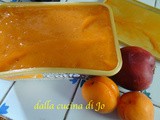 Sorbetto di albicocche e nettarine