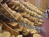 Terremoto@parmigiano-reggiano