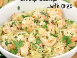 Lemon Pepper Shrimp Scampi with Orzo