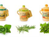 Dried Italian Herbs – a Quick Guide