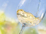 Organic Wine – The Facts