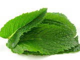 Mint Leaves