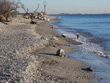 Un endroit magique pour pique-nique à la plage & Petits pains à la ciboulette et aux knackis