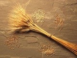 10 Easy Steps To Make The Transition To Organic Lifestyle