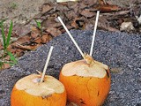 How to Extract The Fresh Coconut Milk