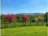 Parker's Arms, Newton-in-Bowland - Revisited (again)