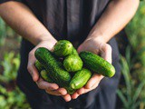 3 Health Benefits of Cucumbers + 6 Recipe Ideas and Tips