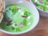 Chilled Cucumber Dill Mint Soup with Feta and Red Onion