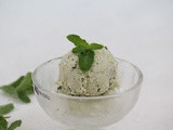 Mint ice-cream / mint choco chips ice-cream / mint chocolate chips ice-cream