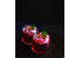 Hibiscus Gin Fizz Recipe