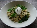 Fennel and Kale Pearl Barley Risotto