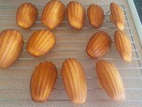 Vanilla Madeleines