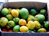 8 Eggless Mango Recipes to use up Ripe Mangoes