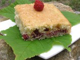 Gâteau framboise et noix de coco