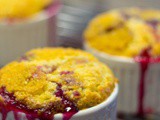 Rode vruchten fruit cobbler recept