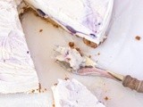 Zelf ijstaart maken zonder ijsmachine recept