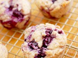 Blueberry coconut oil Greek yogurt muffins