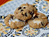 Gooey s'mores cookies