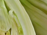 Braised Fennel & Carrots w/ Preserved Lemon