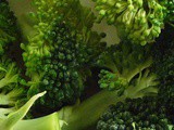 Broccoli Bites – Appetizer, Light Lunch or Dinner, Side Dish, Snack