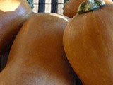 Honeynut Squash with Toasted Quinoa, Feta, Arugula, Apple Cider Vinaigrette
