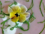 Radish Soup for Spring – Refreshing, Flavorful & Rosy-Hued
