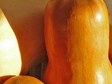 Ten Favorite Winter Squash Recipes – Appetizer Salad Soups Sides Mains
