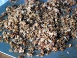 Src - Granola