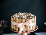 Tiramisu Cake