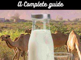 Camel milk 101: Nutrition, Benefits, How To Use, Buy, Store a Complete Guide