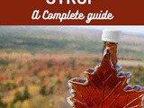 Maple Syrup 101: Nutrition, Benefits, How To Use, Buy, Store a Complete Guide